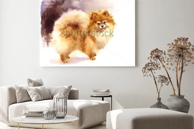 Obraz: Akwarela pies pomorskie portret ręcznie malowany