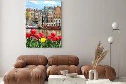 Obraz: Amsterdamskie tulipany