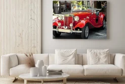 Obraz: Auto depoca in esposizione