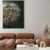 Obraz: Beautiful fluffy dandelion flower with water drops on dark green