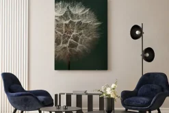 Obraz: Beautiful fluffy dandelion flower with water drops on dark green