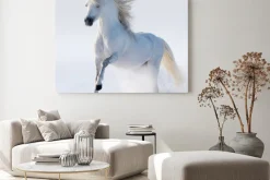 Obraz: Biały koń galopujący po śniegu