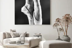 Obraz: Buty do baletu