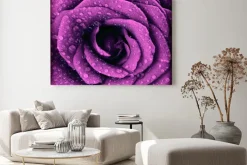 Obraz: Ciemnofioletowy wzrósł tła