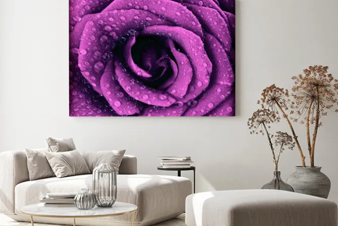 Obraz: Ciemnofioletowy wzrósł tła