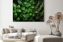 Obraz: Close view on fresh herbs bunch