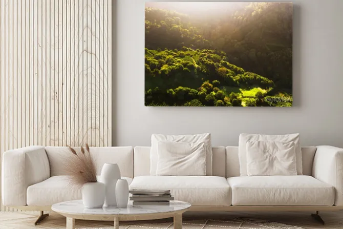 Obraz: Coffee fields in costa rica aerial drone photograph