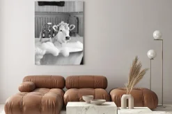 Obraz: Czarno-biały portret biała krowa w wannie surrealizm