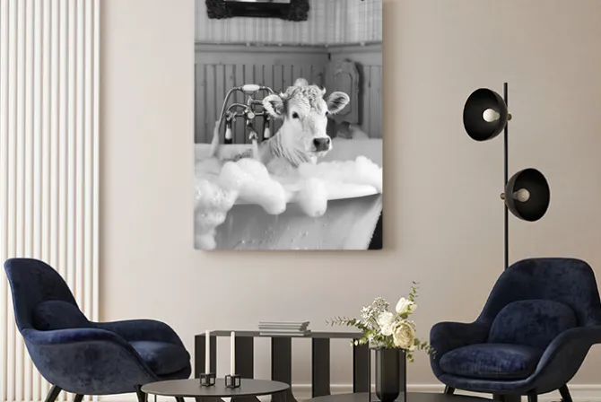 Obraz: Czarno-biały portret biała krowa w wannie surrealizm