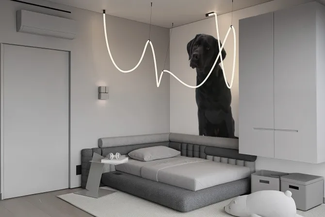 Obraz: Czarny labrador na białym tle