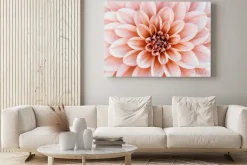 Obraz: Defocused pastel, peach, coral dahlia petals macro, floral abstract