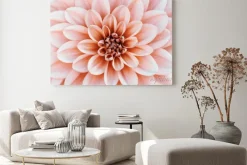 Obraz: Defocused pastel, peach, coral dahlia petals macro, floral abstract