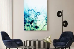 Obraz: Dmuchawce z kroplami wody