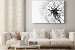 Obraz: Dmuchawiec w czerni i bieli