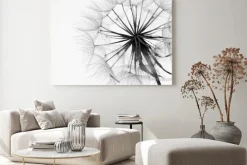 Obraz: Dmuchawiec w czerni i bieli