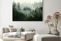 Obraz: Drzewa iglaste we mgle górski zielony las