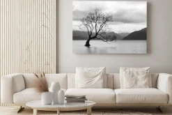 Obraz: Drzewo w środku jeziora