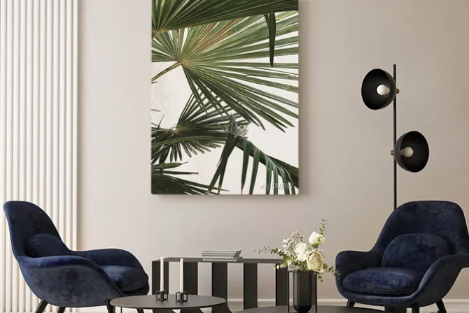 Obraz: Exotic green palm leaves on white background. minimal nature