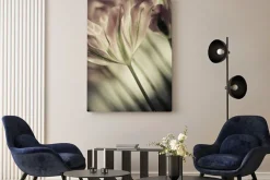 Obraz: Fine art tulipany zbliżenie, niewyraźne i ostre