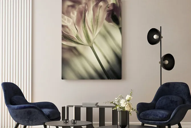 Obraz: Fine art tulipany zbliżenie, niewyraźne i ostre