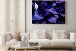 Obraz: Fioletowo niebieskie liście tropikalne