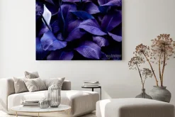 Obraz: Fioletowo niebieskie liście tropikalne