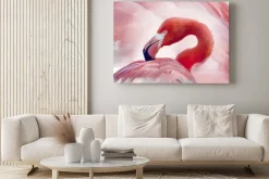 Obraz: Flaming na tle piór