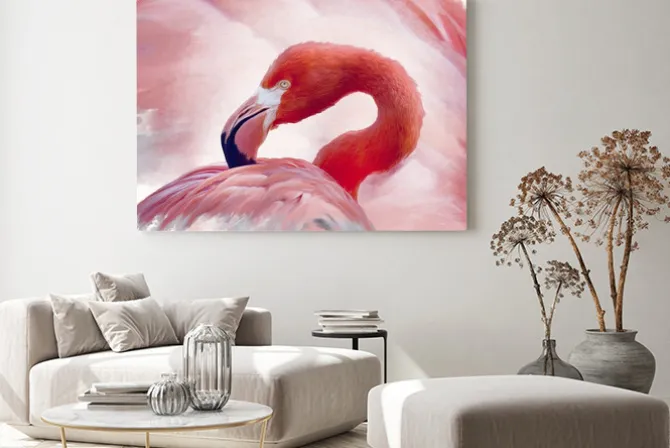 Obraz: Flaming na tle piór