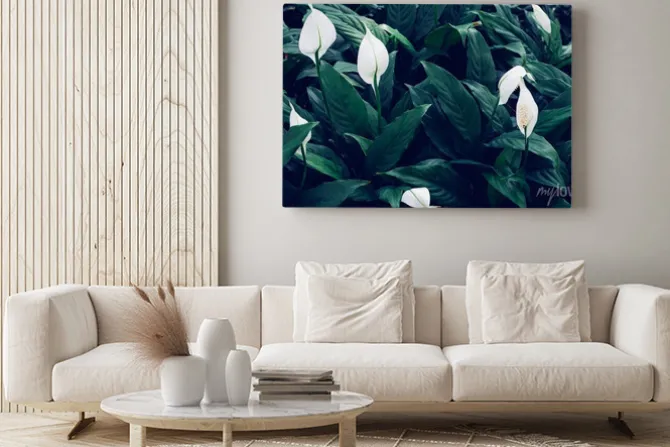 Obraz: Full frame of green leaves pattern background, nature lush foliage