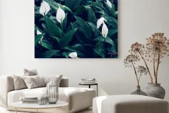 Obraz: Full frame of green leaves pattern background, nature lush foliage