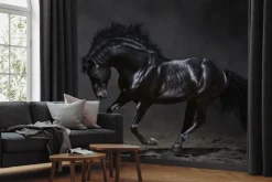 Obraz: Galopujący czarny koń