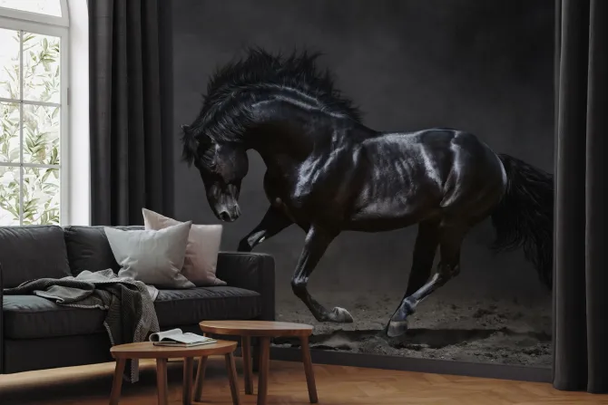 Obraz: Galopujący czarny koń