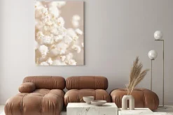 Obraz: Gipsówka białe kwiaty w boho stylu naturalna kompozycja