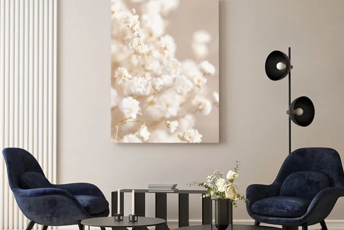 Obraz: Gipsówka białe kwiaty w boho stylu naturalna kompozycja