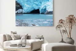 Obraz: Glacier na alasce