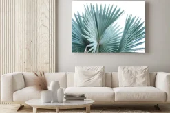 Obraz: Green leaf of palm tree isolated on white background .