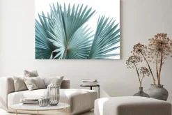 Obraz: Green leaf of palm tree isolated on white background .