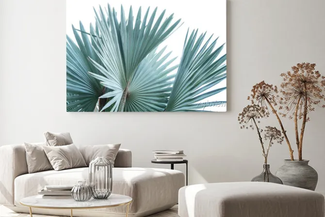 Obraz: Green leaf of palm tree isolated on white background .