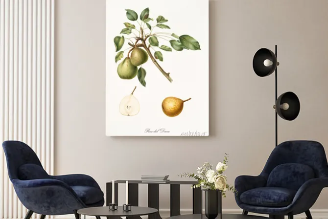 Obraz: Gruszka, zwany gruszka księcia, na jednej gałęzi z liśćmi i pojedyncze