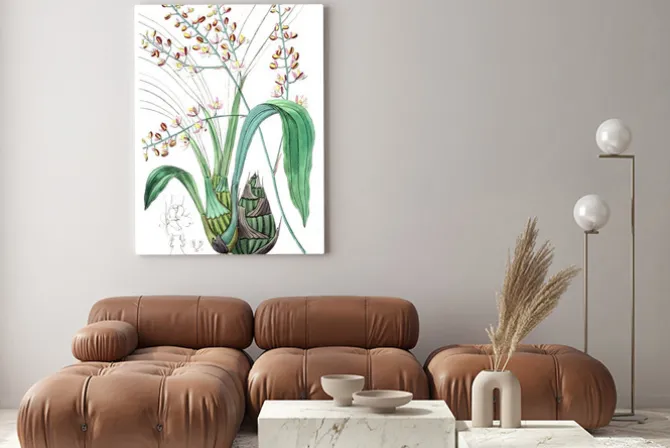 Obraz: Ilustracja roślin