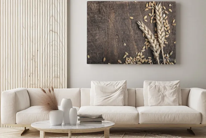 Obraz: Kłosy pszenicy