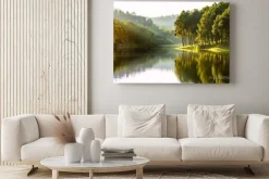 Obraz: Krajobraz lasu sosnowego i widok na jezioro