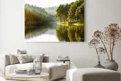 Obraz: Krajobraz lasu sosnowego i widok na jezioro