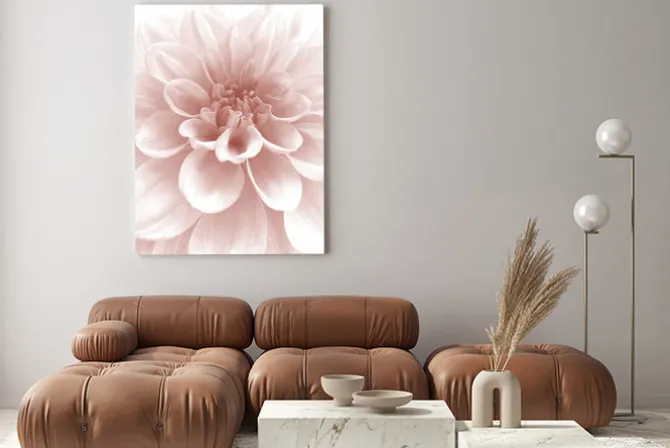 Obraz: Kwiat dalia w pastelowych kolorach