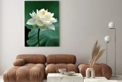 Obraz: Kwiat lotosu kwiatu