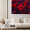 Obraz: Kwiaty czerwone maki kwitną na dzikim polu. piękne czerwone maki