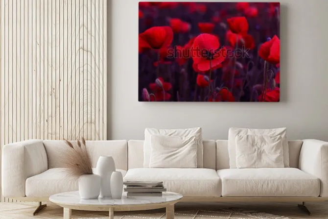 Obraz: Kwiaty czerwone maki kwitną na dzikim polu. piękne czerwone maki