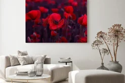 Obraz: Kwiaty czerwone maki kwitną na dzikim polu. piękne czerwone maki