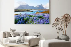 Obraz: Kwiaty łubinu na tle gór i jeziora