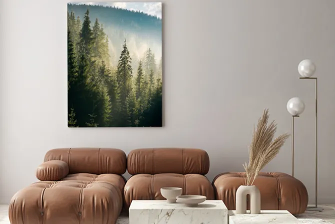 Obraz: Las świerkowy na wzgórzu w porannej mgle. piękne krajobrazy przyrody